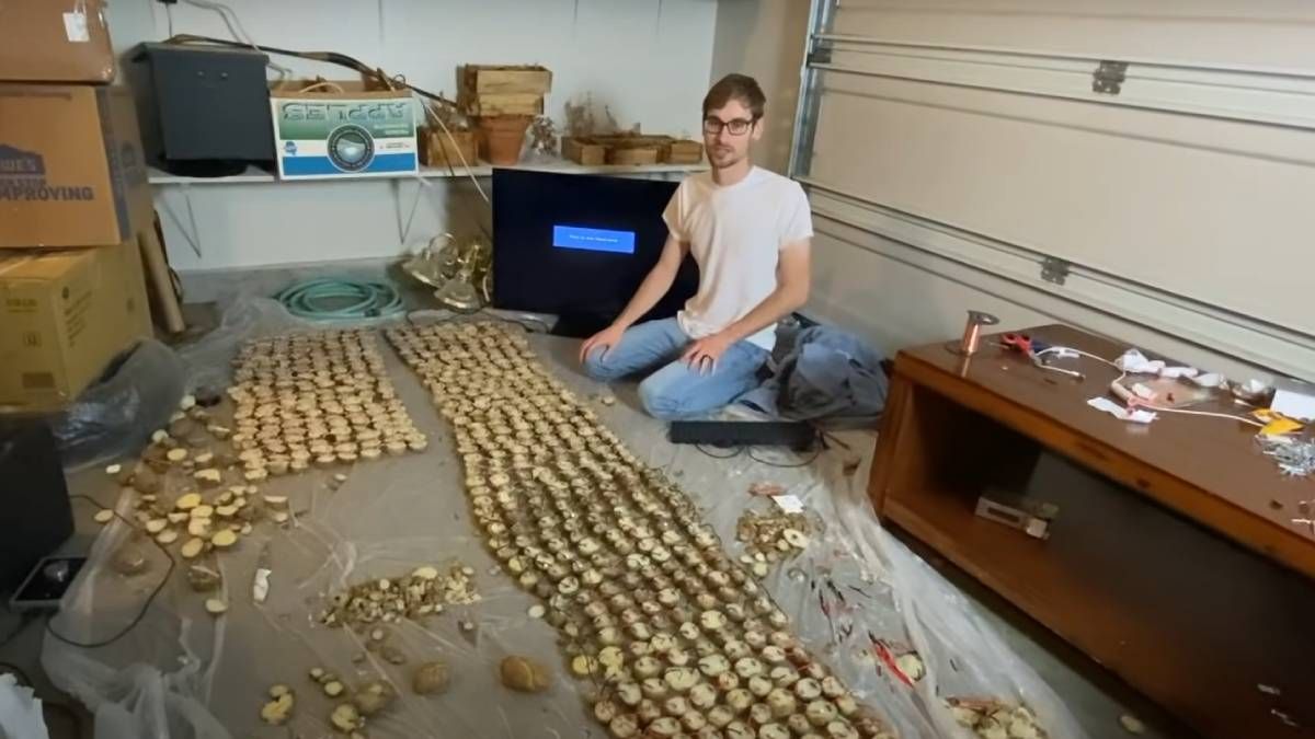 Ентузіаст запустив гру Doom на калькуляторі, який заряджається від картоплі Ентузіаст запустив гру Doom на калькуляторі, який заряджається від картоплі