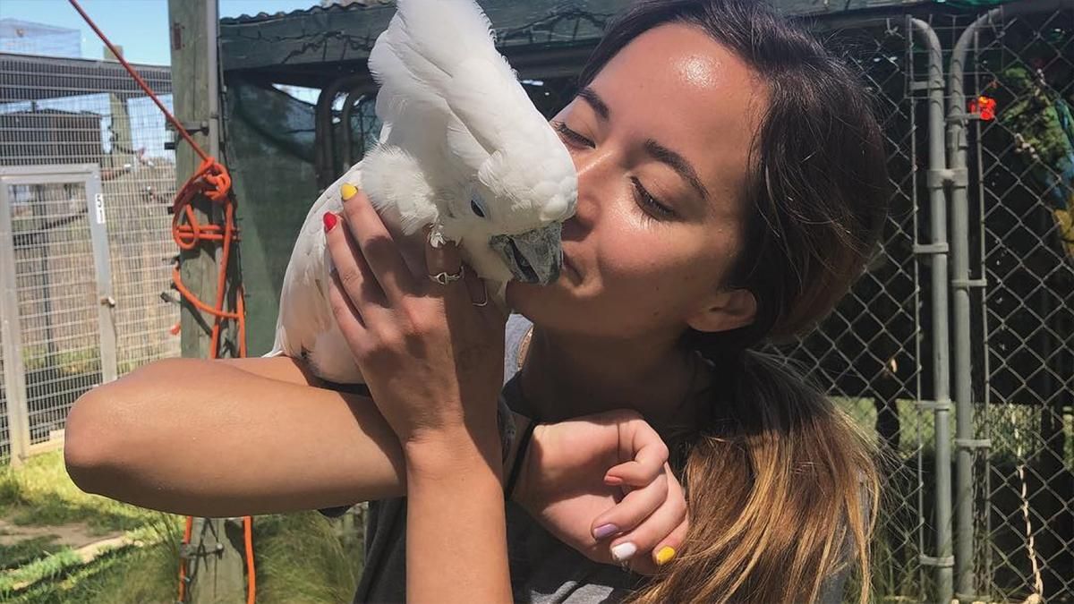 Стримерша Maya собрала 500 тысяч долларов на строительство заповедника Стримерша Maya собрала 500 тысяч долларов на строительство заповедника