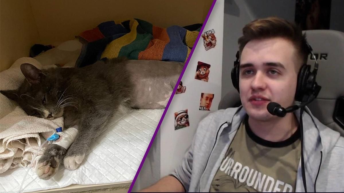 Коментатор Dota 2 Olsior зворушив мережу історією про вуличного кота і розпочав благодійну акцію Коментатор Dota 2 Olsior зворушив мережу історією про вуличного кота і розпочав благодійну акцію