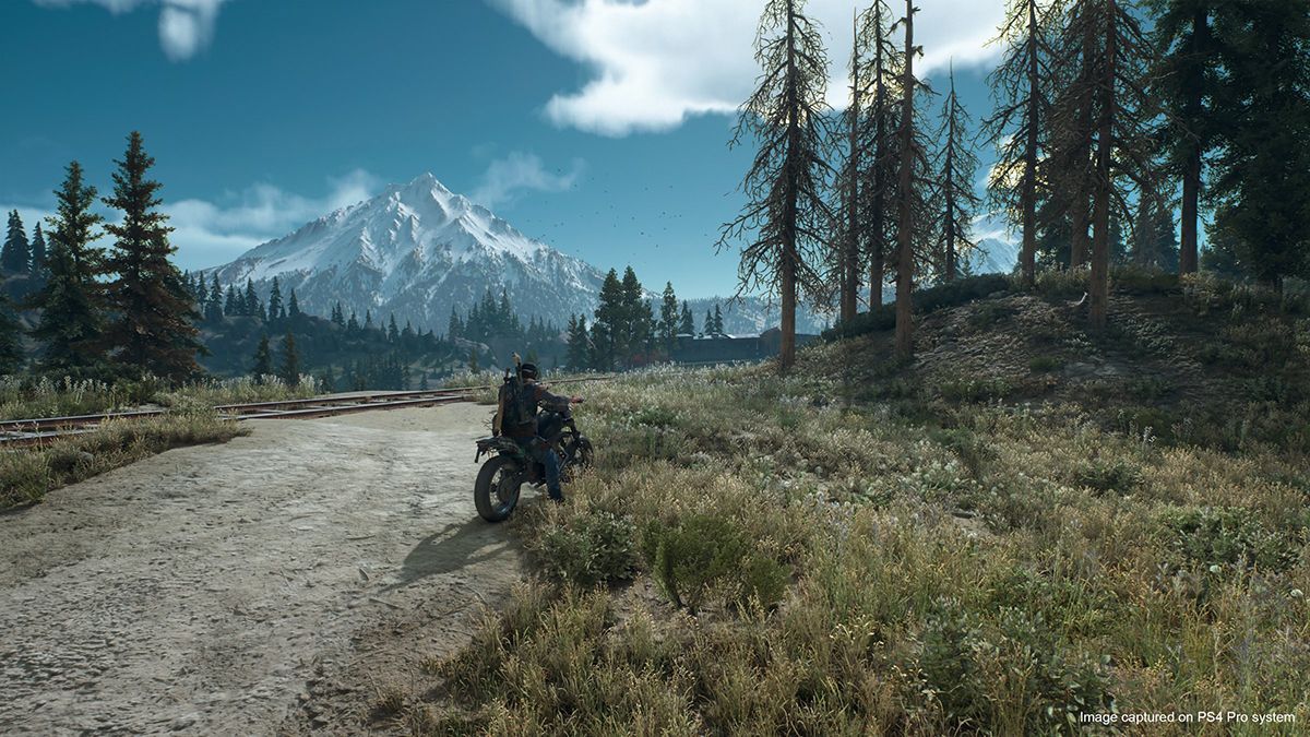 Разработчики Days Gone недовольны работой журналистов Разработчики Days Gone недовольны работой журналистов