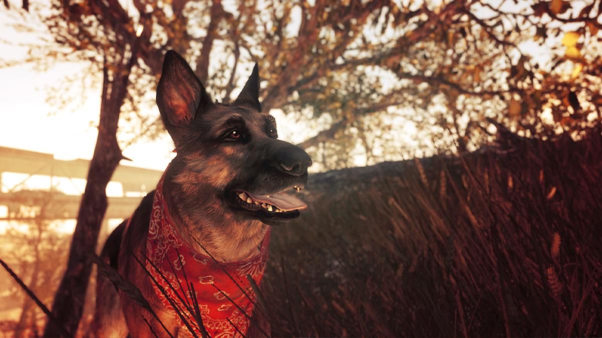 Не стало собаки, послужившей прототипом Псины из Fallout 4