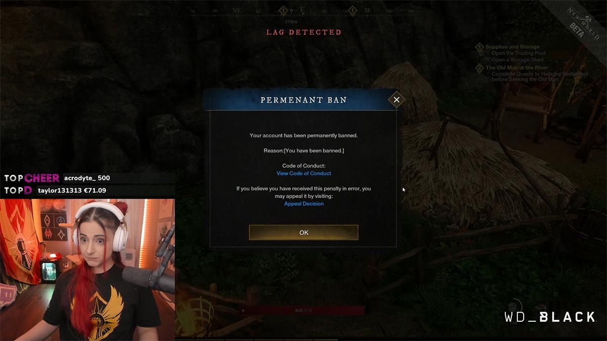 Стримерша New World стала героиней забавного видео Стримерша New World стала героиней забавного видео