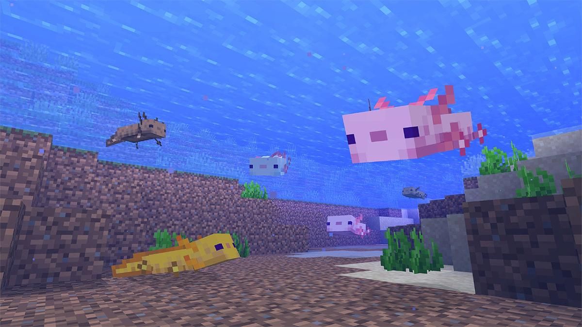 Игрок в Minecraft использовал 100 аксолотлей для битвы с боссом Игрок в Minecraft использовал 100 аксолотлей для битвы с боссом