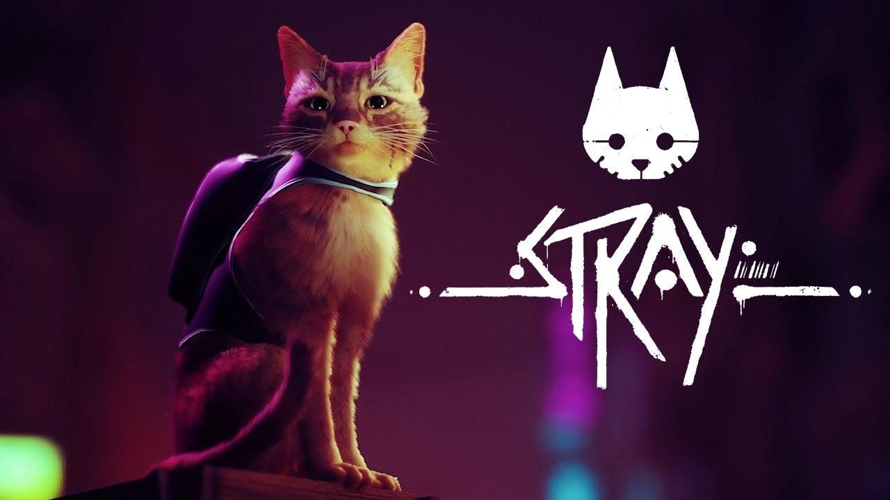 Геймеры в восторге от трейлера Stray – игры о приключениях кота в мире киберпанка