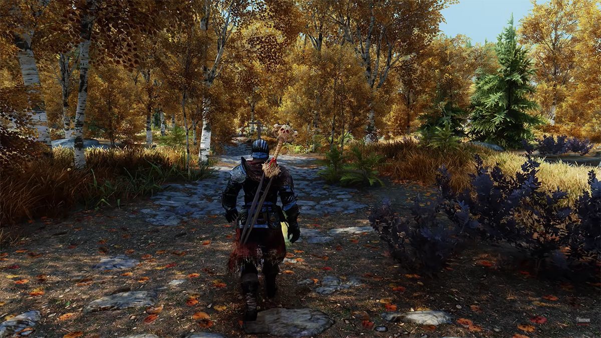 Блогер установил более 500 модификаций на видеоигру Skyrim Блогер установил более 500 модификаций на видеоигру Skyrim