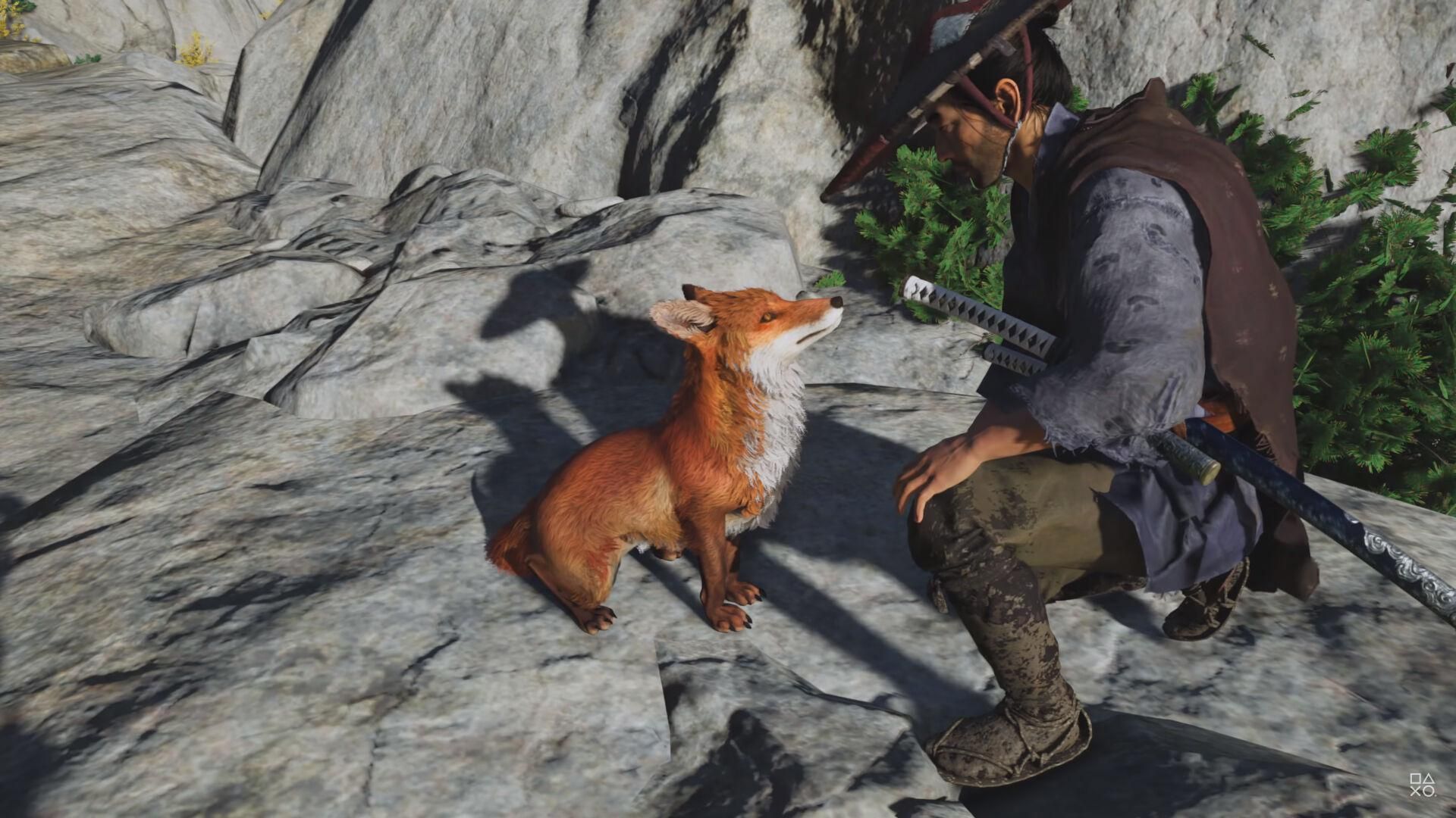 Нові анімації лисиці з Ghost of Tsushima Director's Cut підкорили геймерів: миле відео - Ігри - games Нові анімації лисиці з Ghost of Tsushima Director's Cut підкорили геймерів: миле відео - Ігри - games