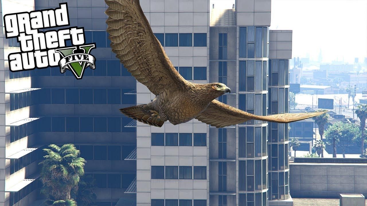 Смерть с небес: GTA Online нашел экстраординарный способ убийства соперников - Игры - Games