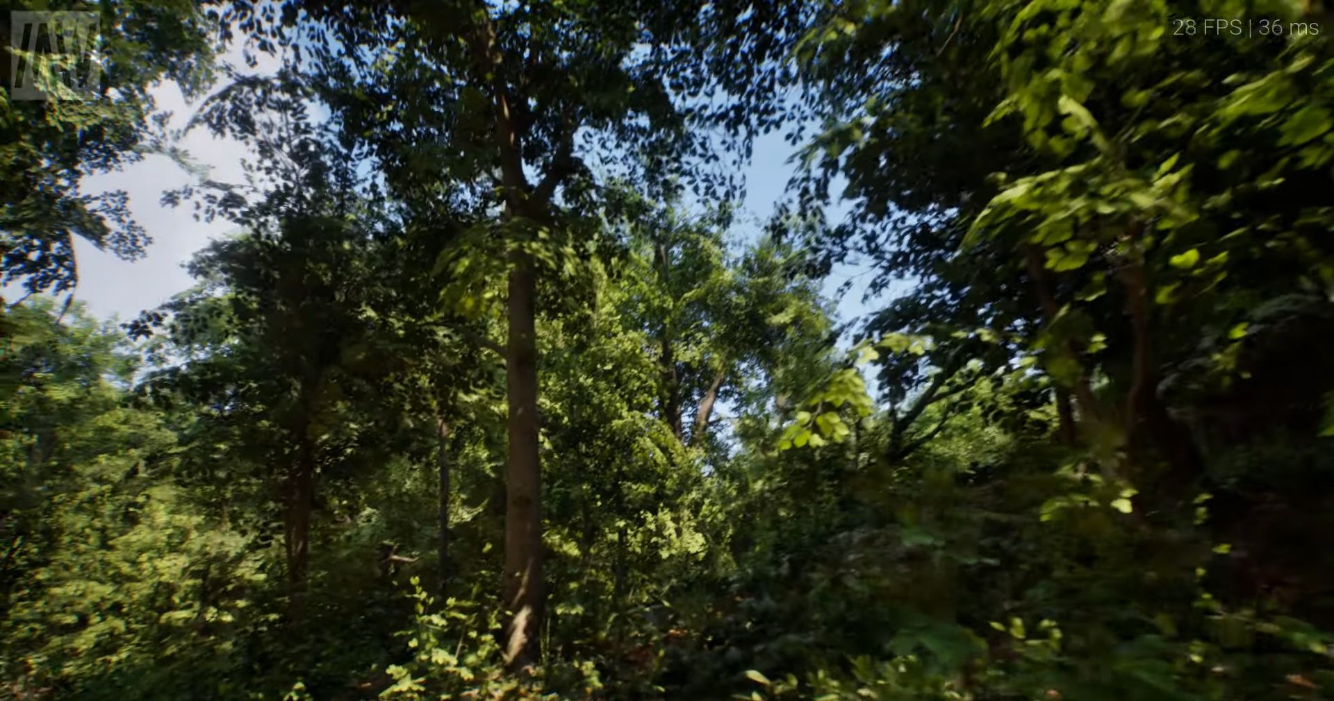 Энтузиасты создали сверхреалистичный лес на Unreal Engine 5