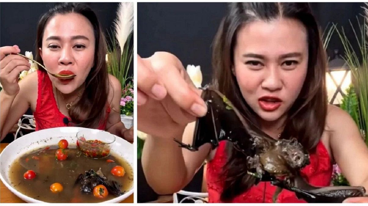 Стримерку арештували після того, як вона з'їла кажана в трансляції - games Стримерку арештували після того, як вона з'їла кажана в трансляції - games