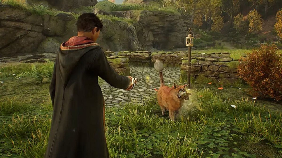 Hogwarts Legacy - в игре будет магический зверь низл - какие еще животные Hogwarts Legacy - в игре будет магический зверь низл - какие еще животные