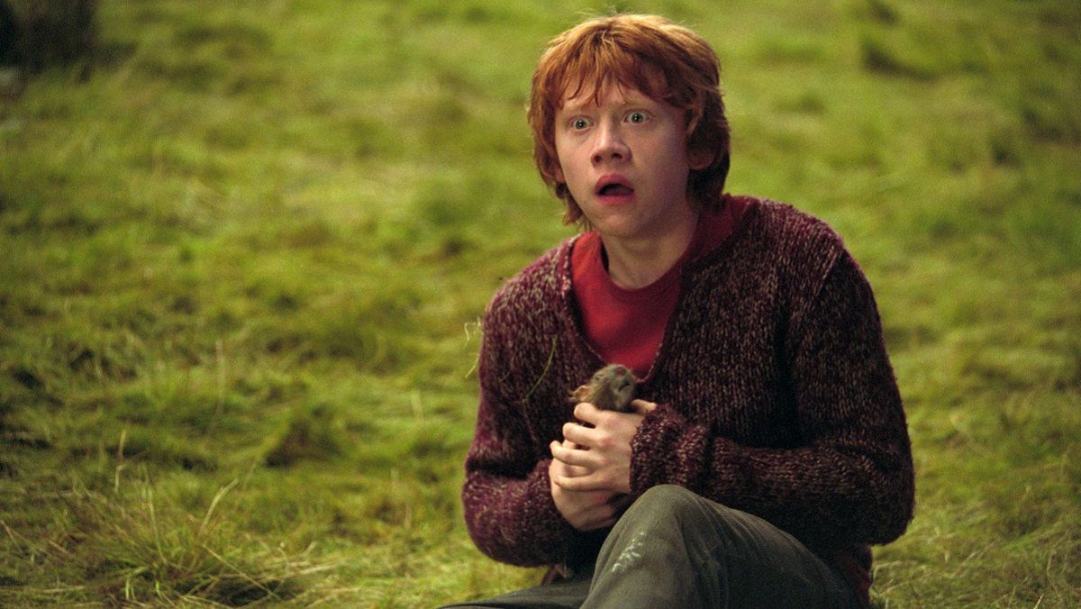 Hogwarts Legacy - у грі знайшли пасхалку на Рона Візлі Hogwarts Legacy - у грі знайшли пасхалку на Рона Візлі