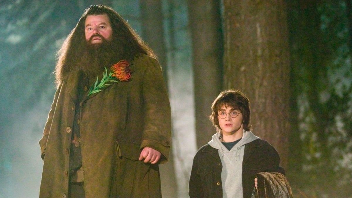 Гравці Hogwarts Legacy знайшли у грі посилання на Геґріда Гравці Hogwarts Legacy знайшли у грі посилання на Геґріда