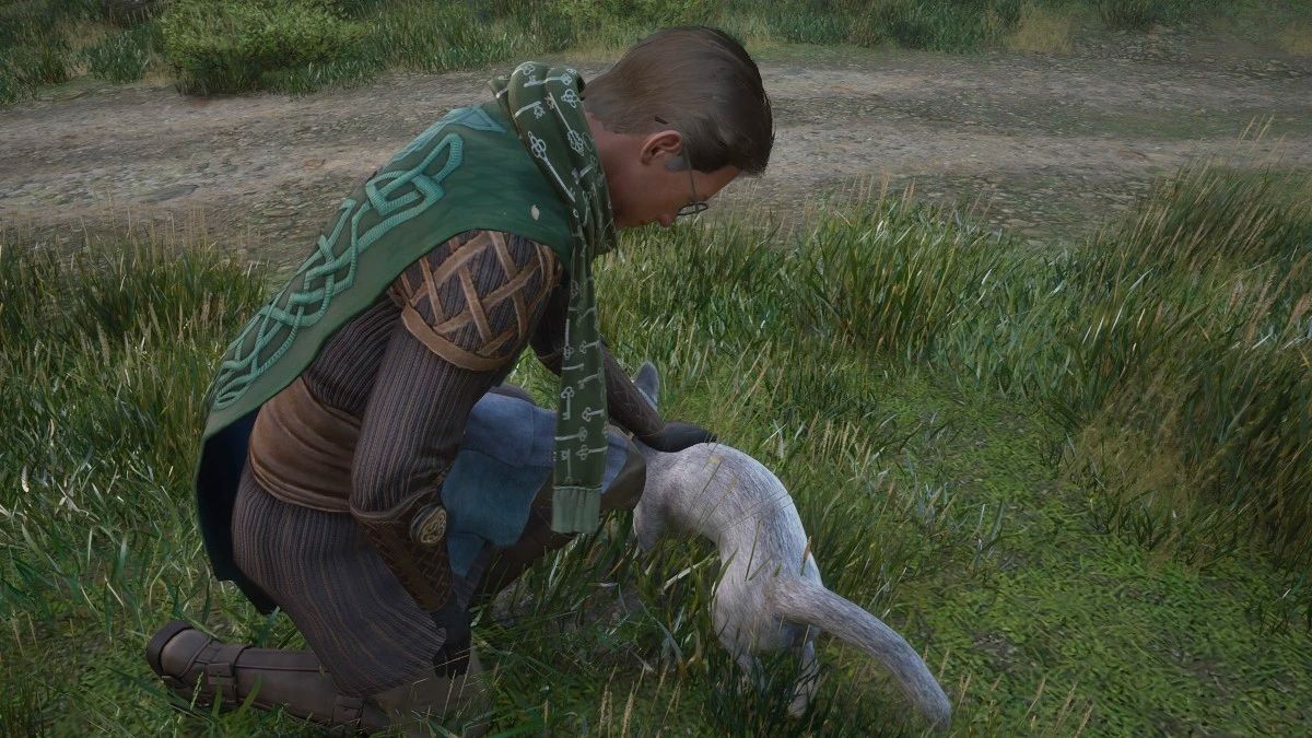 Творці Hogwarts Legacy показали як можуть захистити котів від знущань геймерів Творці Hogwarts Legacy показали як можуть захистити котів від знущань геймерів