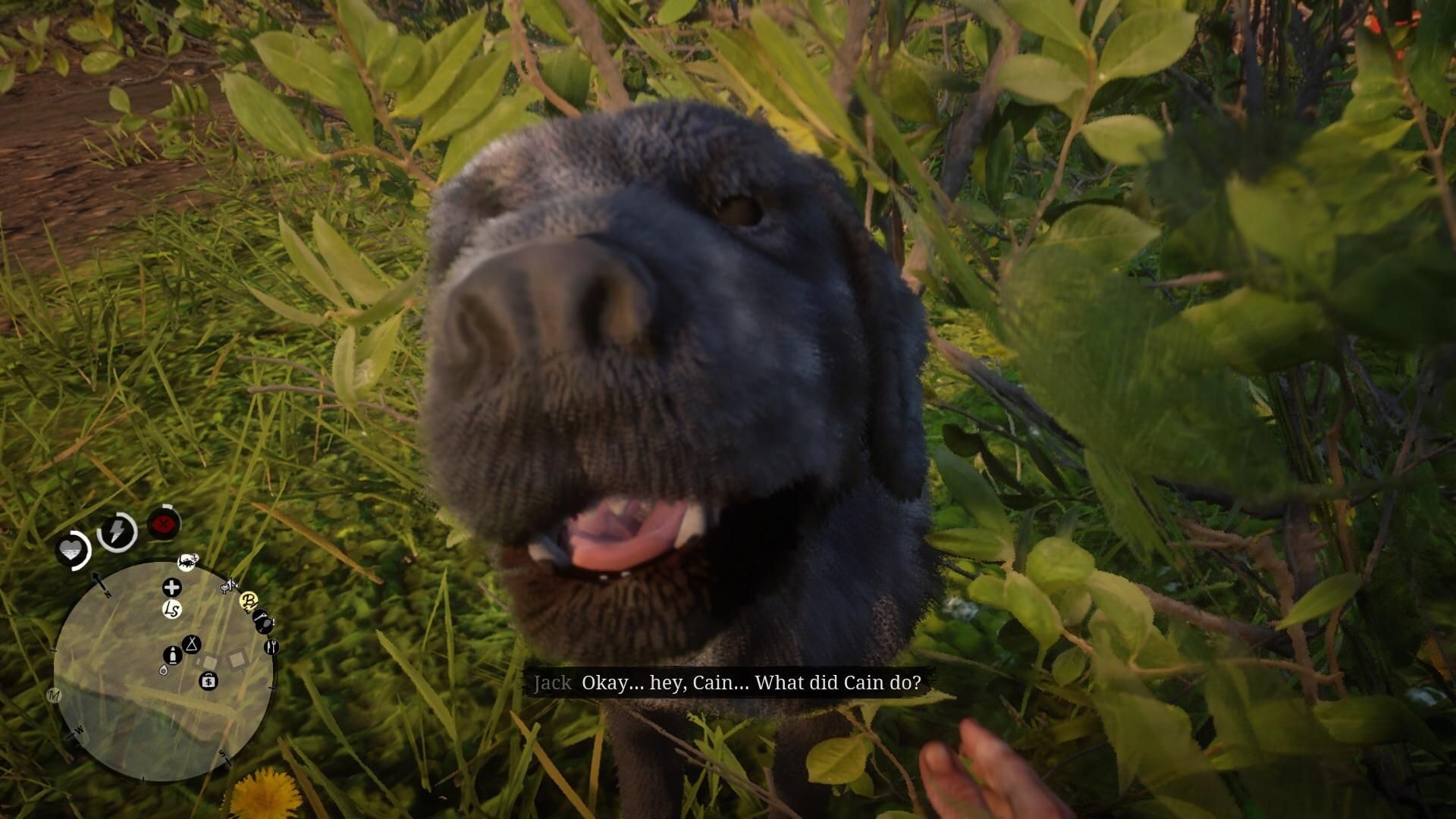 Помер собака, який став прототипом Кейна з гри Red Dead Redemption 2