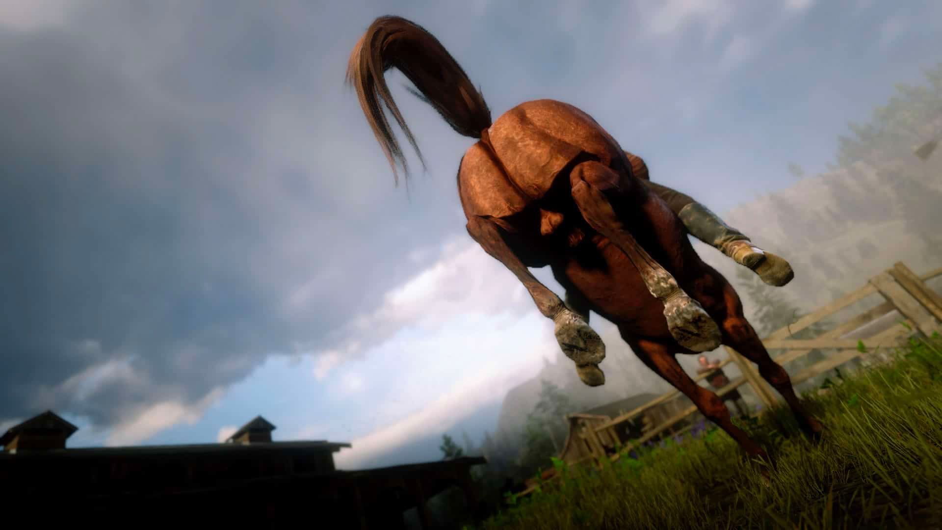 Геймер показал забавный случай с двумя лошадьми в Red Dead Redemption 2 Геймер показал забавный случай с двумя лошадьми в Red Dead Redemption 2