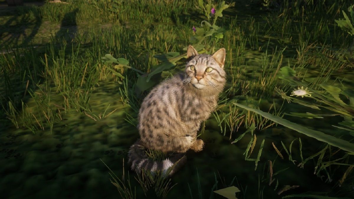 Red Dead Redemption 2 – геймер собрал армию котиков в игре
