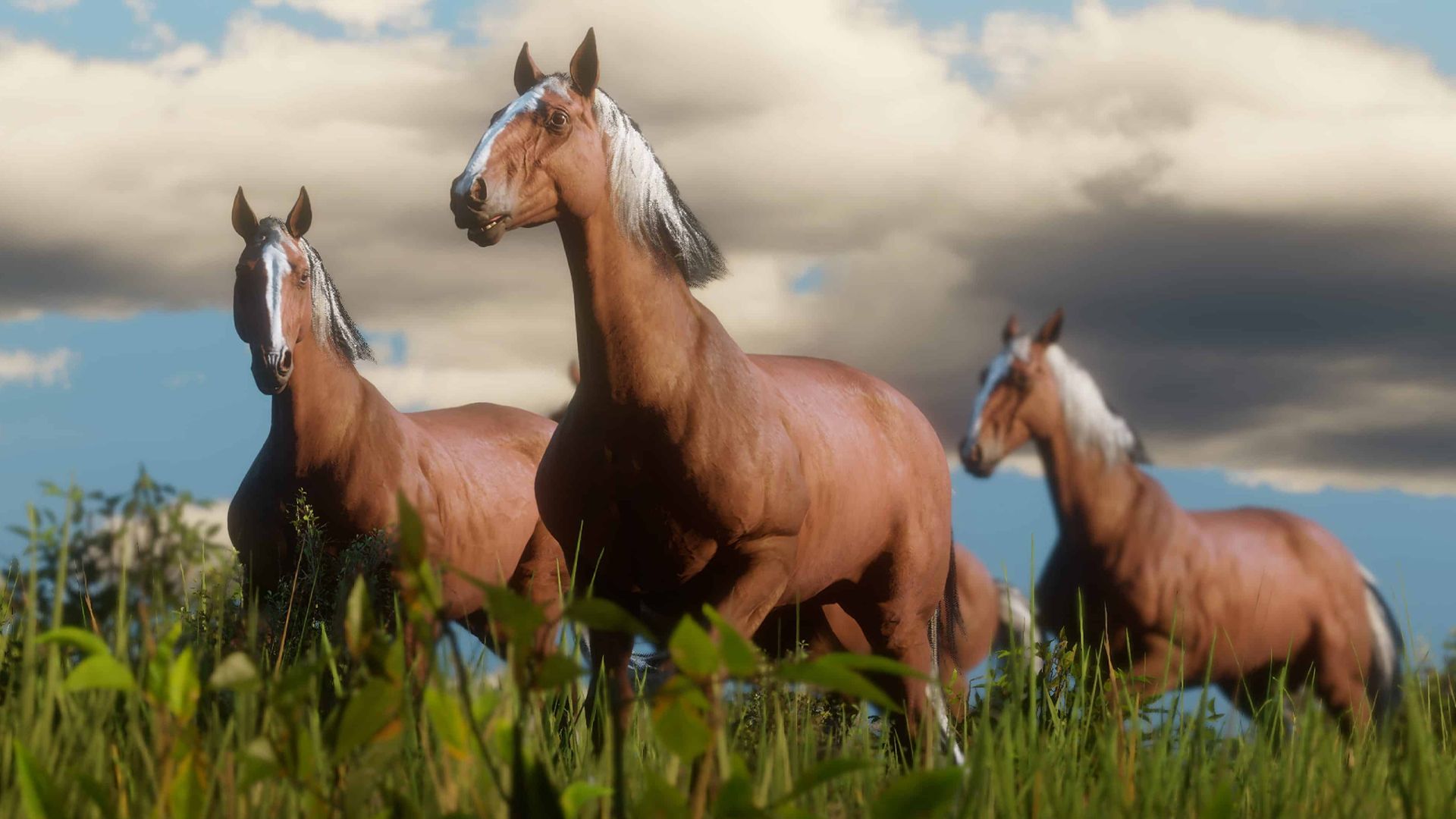 У Red Dead Online знайшли баг, який змушує конів літати