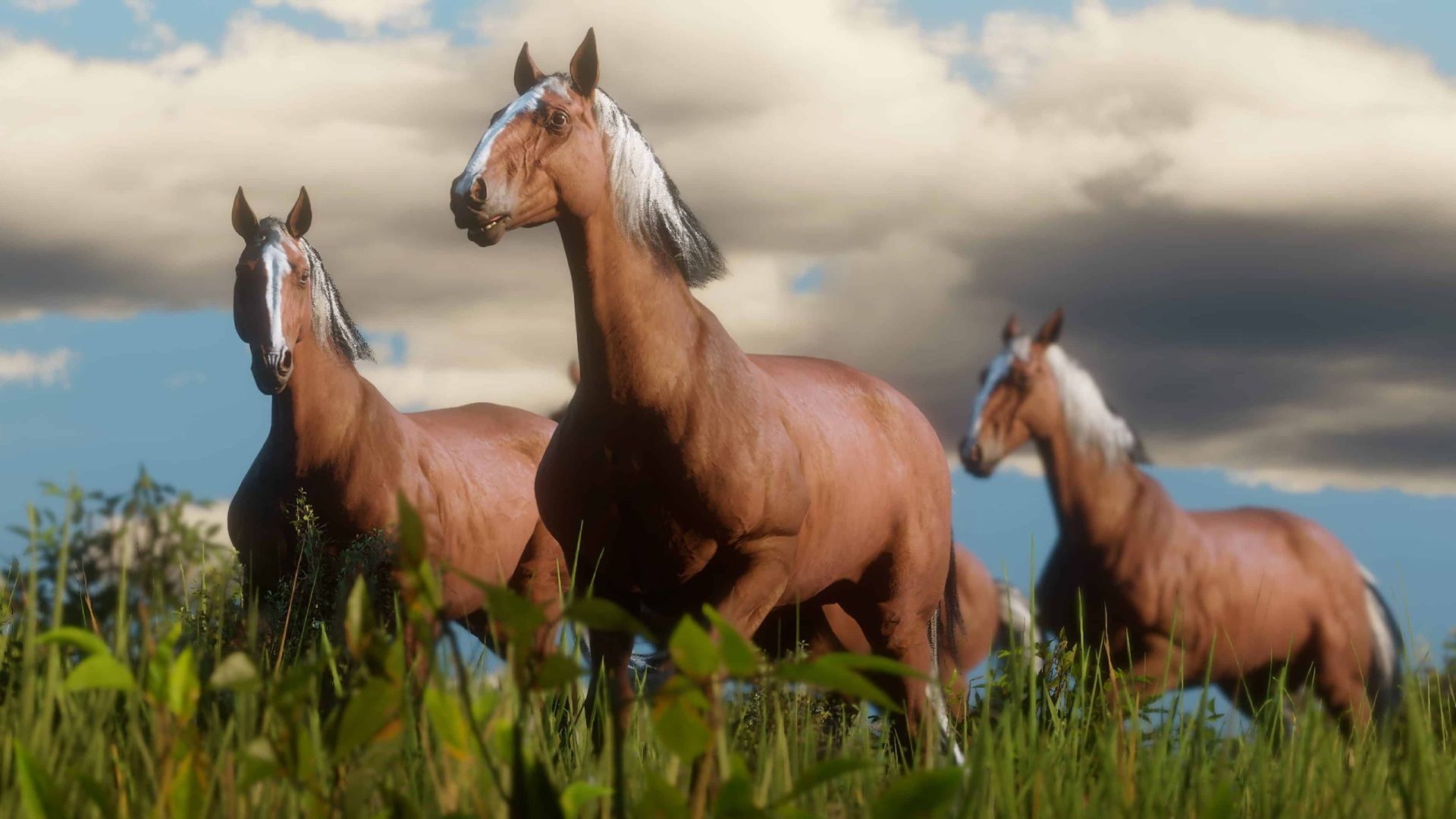 В Red Dead Online нашли баг, который заставляет коней летать В Red Dead Online нашли баг, который заставляет коней летать