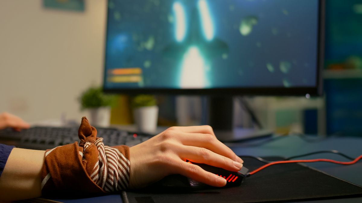 Киберспортивная академия NAVI объявила финалистов Киберспортивная академия NAVI объявила финалистов