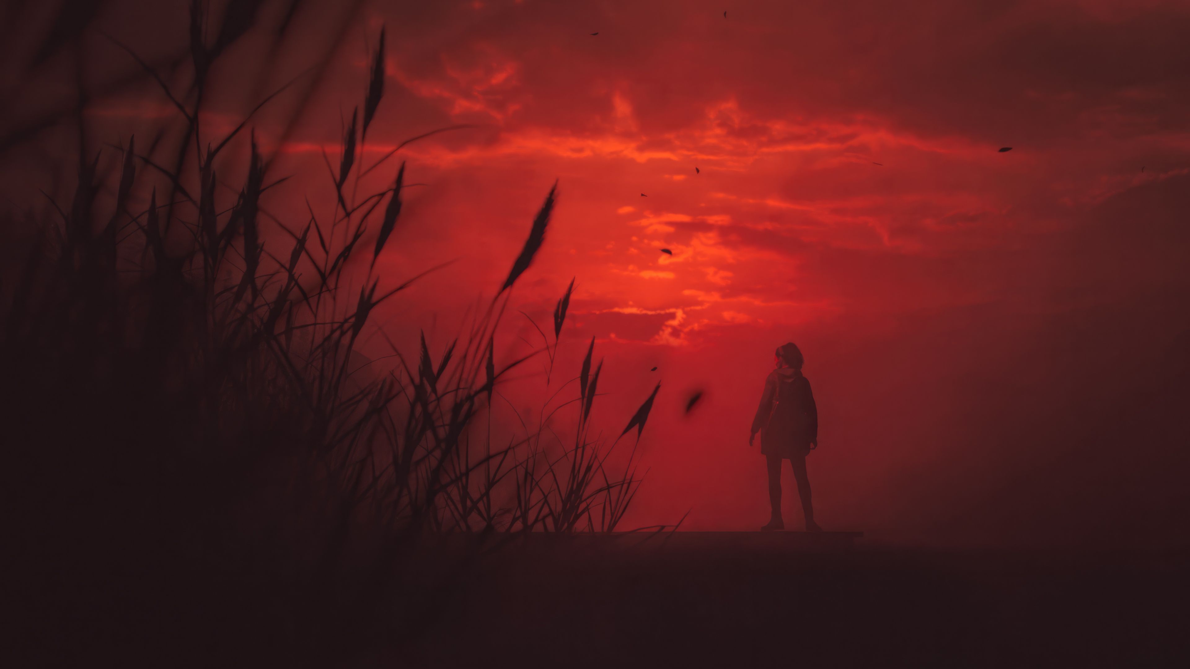 Alan Wake 2 ніколи не вийде у Steam – в чому причина Alan Wake 2 ніколи не вийде у Steam – в чому причина