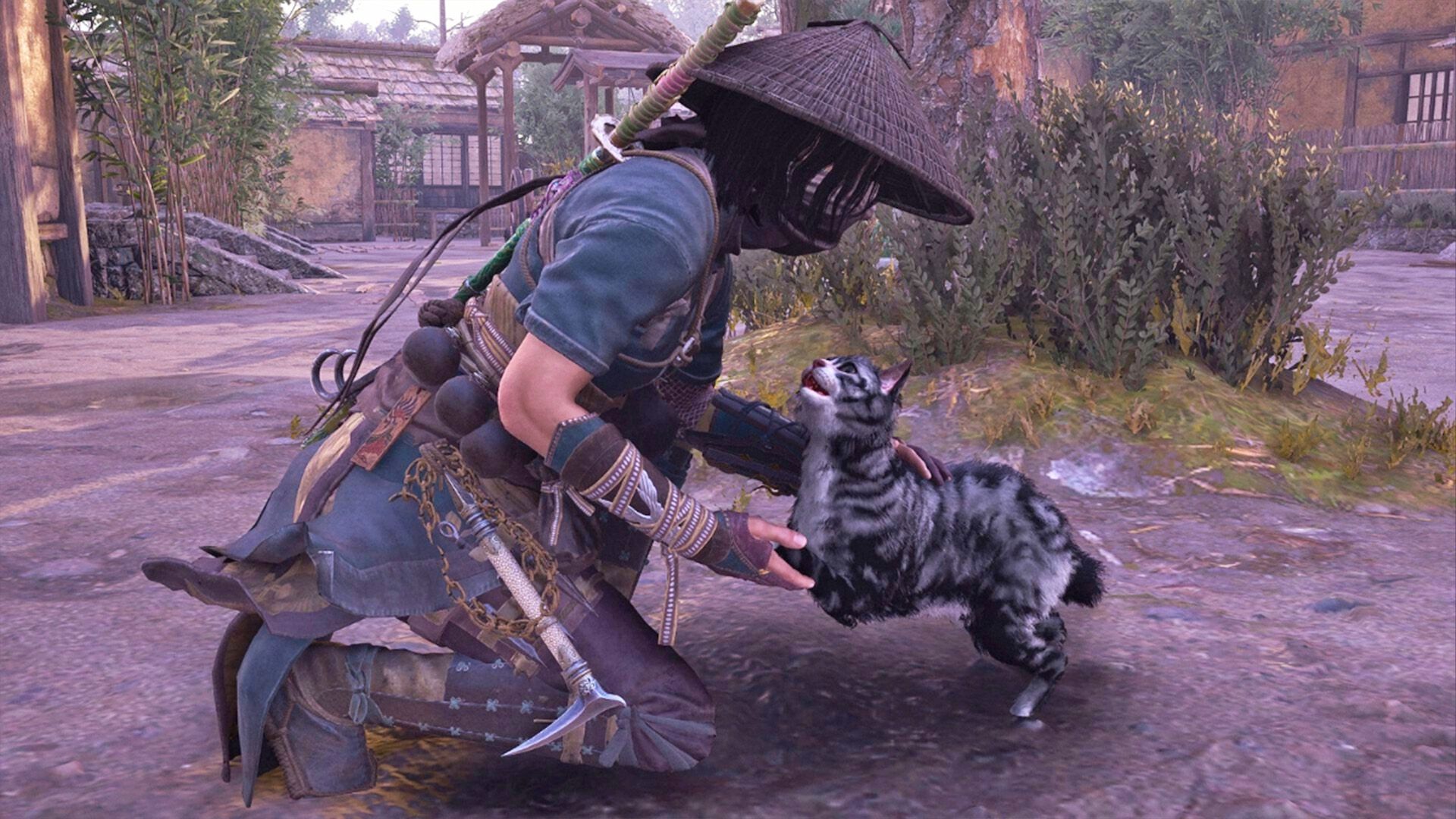 Кошачий остров нашли в Assassin's Creed Shadows Кошачий остров нашли в Assassin's Creed Shadows