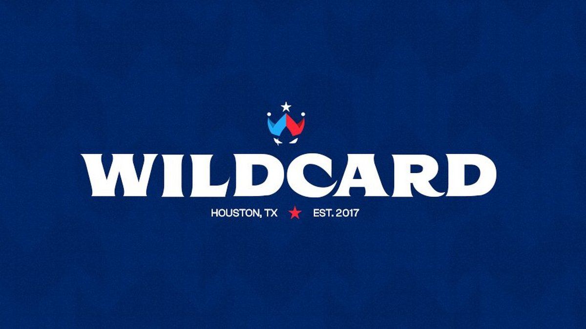 17-летний украинский игрок присоединился к составу киберспортивной академии Wildcard