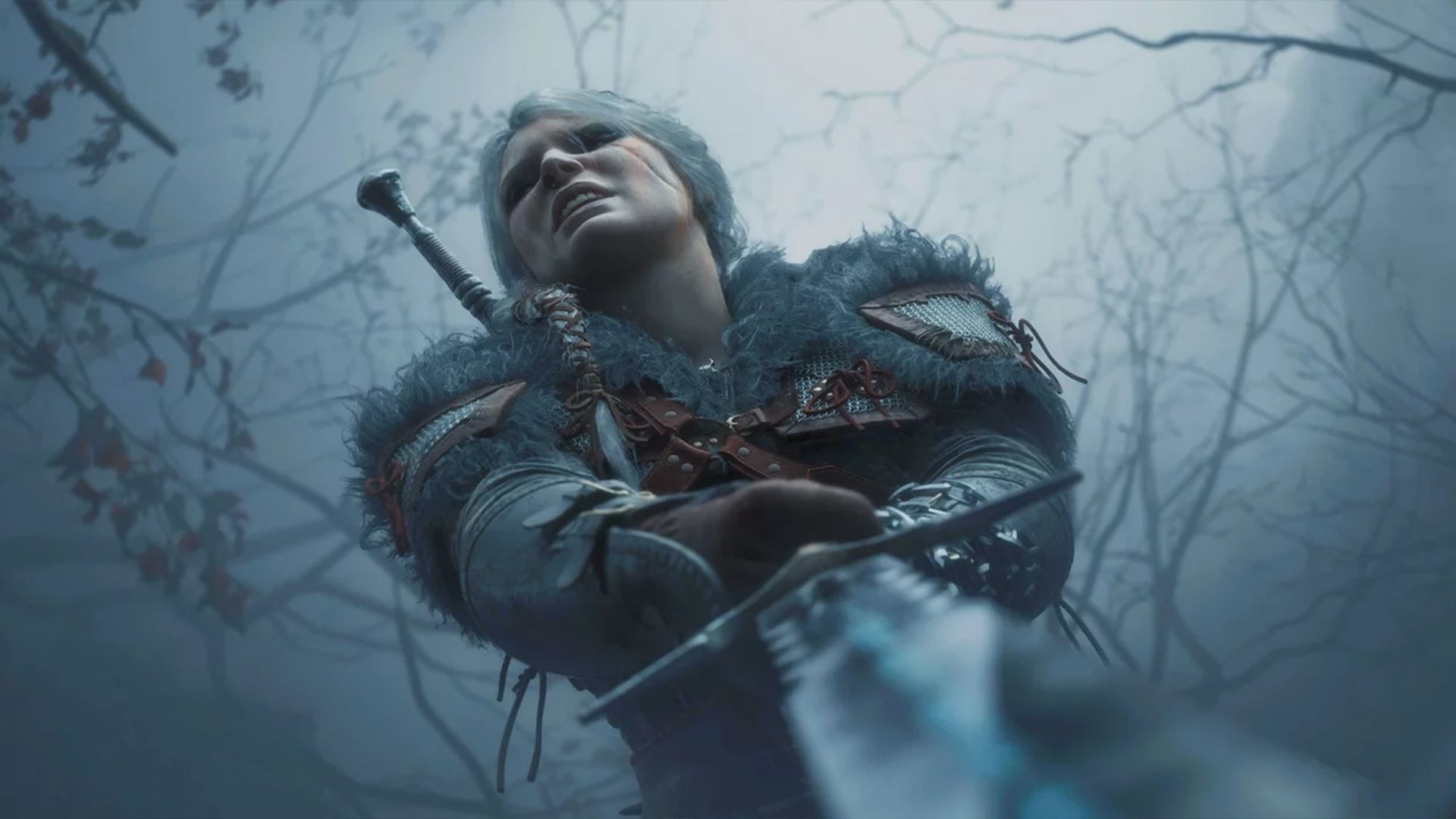 The Witcher 4 вчиться у Baldur's Gate 3 The Witcher 4 вчиться у Baldur's Gate 3