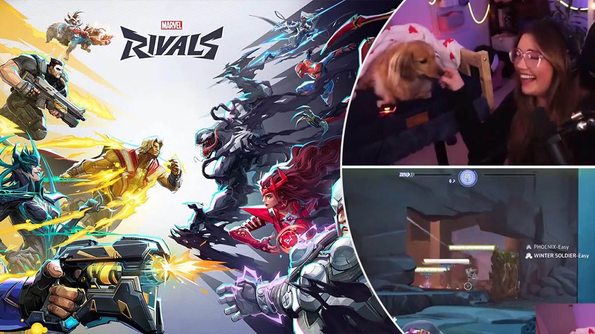 Собака грає в Marvel Rivals – стримерка навчила пса лікувати союзників у грі