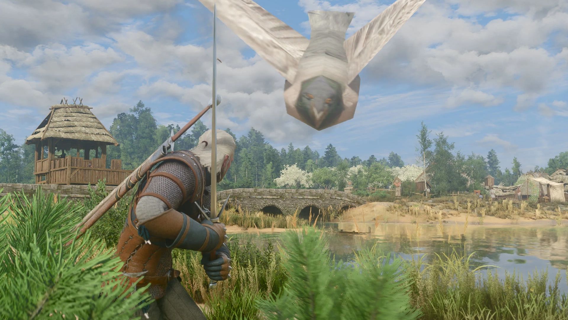 Модер замінив усіх грифонів у The Witcher 3 на культового мемного голуба