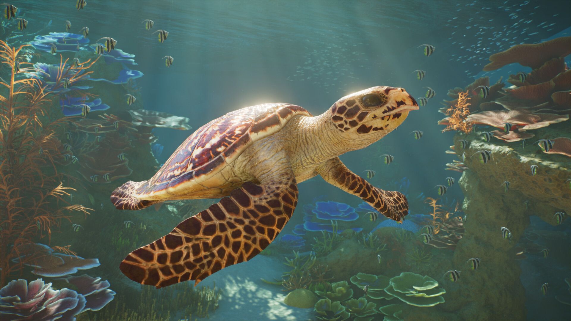 Planet Zoo 2 лидирует в Steam – впереди всего 3 игры Planet Zoo 2 лидирует в Steam – впереди всего 3 игры